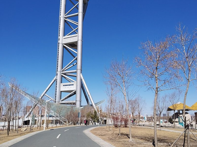 龙凤湿地